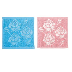 [YD蕿nh^I@100Zbg̔@ւ̑蕨Ɂ@2F捬@KN@nJ`^I@v`Mtg@̓@v[g@̑iEiiEmxeBELOi