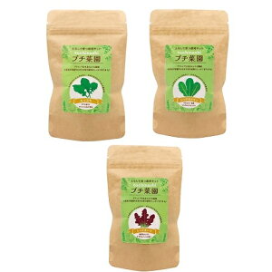 yȂv`؉͔|Zbg@90Zbg̔@yɓyȂĂ؂Ă͔|Zbg@3捬@iiEeiȆiEmxeBEv[g@K[fjO@|@ƒ؉