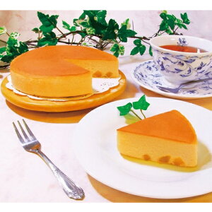 َqii@ƂxCNh`[YP[L@@40Zbg̔@kCYN[`|Yӂӂ퐶n@H̃XC[c@̑iEiiEmxeBELOi