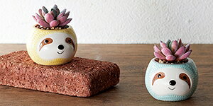 @ԕr@pXeJ[̃i}Pm|bg@6Zbg̔i2F×3̌v6jAj}`[tG