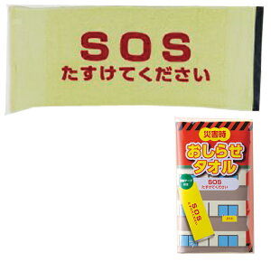 hЃObY@ۊmF^I@ЊQm点^IuSOSĂvi˃e[vtj@nkEÔgEЊQE䕗ɖ`iƂĎg@ڗF̃^I@