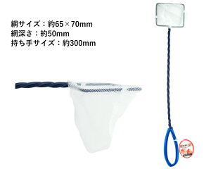 (~j)@S36.5cm@ԁ@ނԁ@Vс@CVс@Vїp@ނp