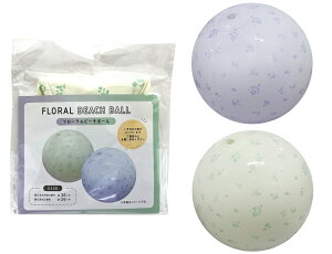 t[r[`{[@ԕ@26cm@r[`ObY@v[VсEC@Ă̑iɂ@fBXvC@p@̑iEiiEmxeB