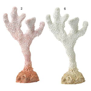 X@IuWF@25cmR[@Ă̊C@fBXvCEp