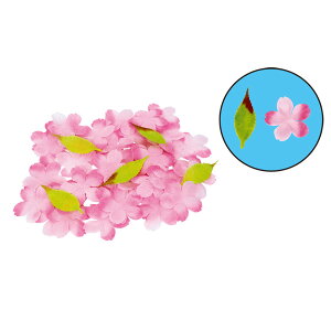 @ԁ@ 50@̉Ԃт@Xܑ@CxgfBXvC@t@@Ԍ@t̑i