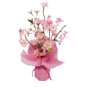 @ԁ@JbsO@49×30cm@a@u@ԁ@@X܃fBXvC