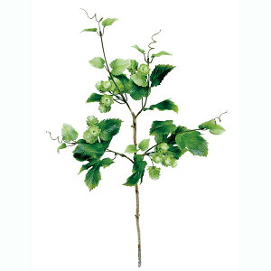 XvCzbv@60cm@12{Zbg̔@Ă̑@썑AfBXvC@zbv̑