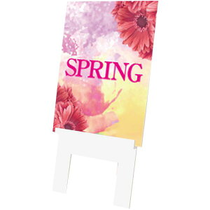 pl@C[[fBXvC@K[x@100×52×60cm@ʐ^Bełt[@Xܑ@ۈ牀EctE{݁@ECxgʂ鑕pl