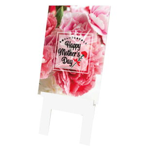 pl@C[[fBXvC@J[l[VsN@100×52×60cm@ʐ^Bełt[@Xܑ@ۈ牀EctE{݁@ECxgʂ鑕pl