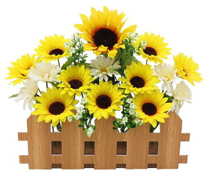 Ă̑@X܃fBXvC@q}_AW@36×50cm@Ђ܂@t@CeA @@q}@Xܑi