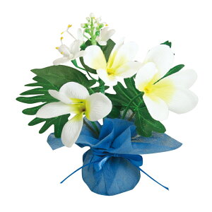 Ă̑@X܃fBXvC@~j~j|bgvA@24Zbg̔@vA@ԁ@t@Xܑ@ꑕ