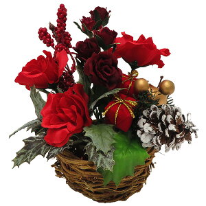 NX}X@@VbN[YJS@20×17cm@ԁ@fBXvC