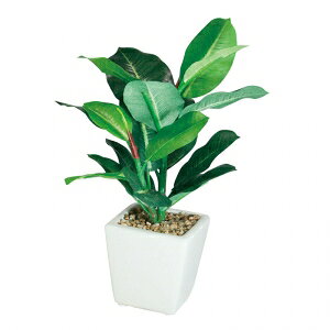 ϗtA@fBXvC@ԁ@PNX|bg23cm@12Zbg̔@ysiz