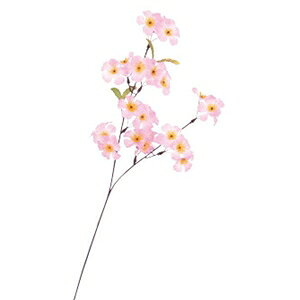 @ԁ@fBXvC@XvC VN@36{Zbg̔@55cm@̎}@Xܑ@CxgfBXvC@t@@t̑i