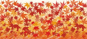 H̑@fBXvCV[g@݂@H90×L200cm@@gtfBXvC@Xܑi