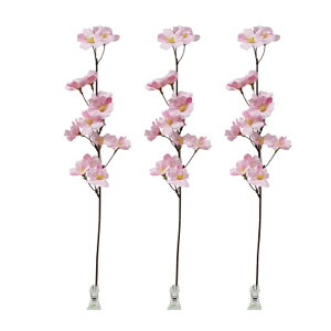 @ԁ@Nbv3{Zbg H47cm@t   fBXvC   Xܑ ̑ fR[V Cxg