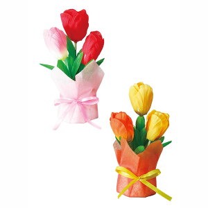 t̉ԁ@@fBXvC@`[bvv`|bg12Zbg̔@19×12×10cm@ԁ@Xܑ@