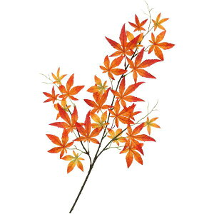 H̑@H݂XvC@12{Zbg̔@݂ԁ@fBXvC@gt@}@݂@Xܑ@t@Cxgo