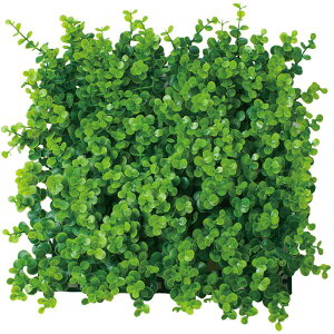 ϗtA@fBXvC@ԁ@XNGAO[}bg@[J@25cm@ItBXEX܁EHXŐlC̊ϗtA