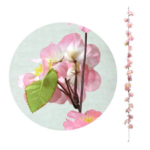 @ԁ@VNK[h L180cmEԃ4.5cm 12{Zbg@t@