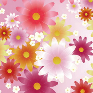 Ԍ@fBXvC@[@60×500cm@Jtt[