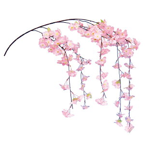 ���@���ԁ@�f�B�X�v���C�@�V�_�����@12�{�Z�b�g�̔��@������135cm�@�����ꕔ����60cm�@���̎}�@��������@�X�ܑ����@�C�x���g�f�B�X�v���C�@���������t���@�������@�t�̑����i