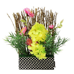 t̉ԁ@@fBXvC@~jtFXAW@؂̉ԁ@20cm@ԁ@Xܑ@