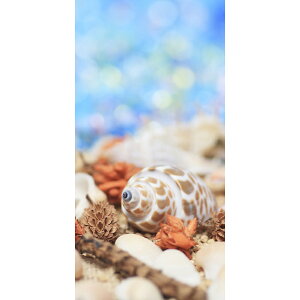 Ă̑@fBXvC@^yXg[@Lk@㕔pCvtE㕔Ђ@180×90cm