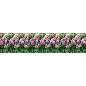 �Ă̑����@���z�ԁ@�X�ܗp�����@�f�B�X�v���C�@���[�����@���������@H60×L500cm