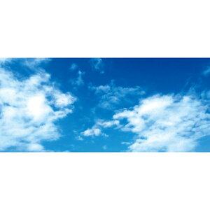 �Ă̑����@��Ɖ_�@�X�ܗp�����@�f�B�X�v���C�V�[�g�@��@H87×L200cm