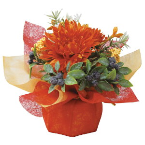 H̑@fBXvC@bsO|bg@I[^K[x@H̑i@H炵F̃K[x@3Zbg̔