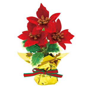 NX}X@@|CZ`A@z[[|bg@12Zbg̔@bh@20cm@ԁ@fBXvC