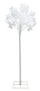 NX}X@@zCg[tc[@؁iԁjX܃fBXvC@@qlgݗďi