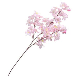 @ԁ@fBXvC@u`@36{Zbg̔@68cm@̎}@Xܑ@CxgfBXvC@t@@t̑i