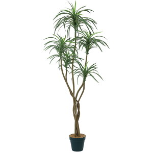 ϗtA@ԁ@fBXvC@bJc[@150cm@yEkCEsiz