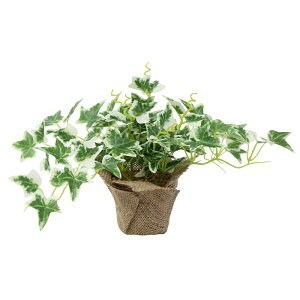 ϗtA@fBXvC@ԁ@~j|bgI_ACr[