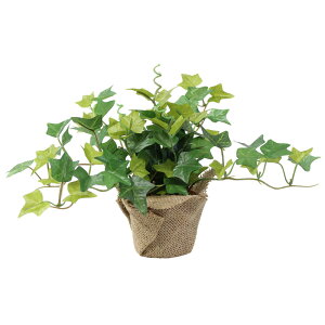 ϗtA@fBXvC@ԁ@~j|bgACr[@32cm