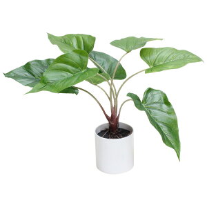 ϗtA@fBXvC@ԁ@AX[@40cm@ItBXEX܁EHXŐlC̊ϗtA