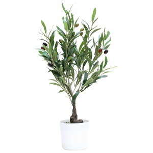 ϗtA@fBXvC@ԁ@I[uc[@60cm@G}@ItBXEX܁EHXŐlC̊ϗtA