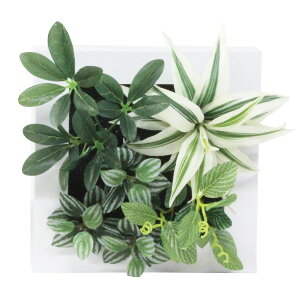 ϗtA@fBXvC@ԁ@t[O[B@3Zbg̔i20×20×13cmj@ItBXEX܁EHXŐlC̊ϗtA