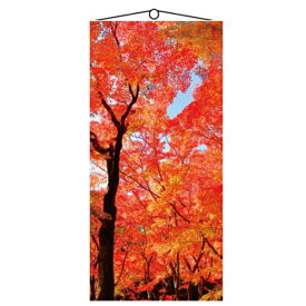 秋の装飾　ディスプレイ　タペストリー　山紅葉　H180×W90cm　色々なシーンで使える　上下パイプ・上部ひも付き