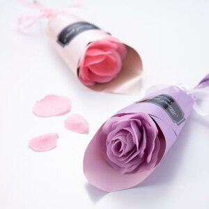 t[\[v@v`u[P@80Zbg̔@܂Ŗ{̃ỏԂ̂悤@ԕ\[viΌjłłĂ܂@ii@2F捬@v`Mtg@̓@v[g@