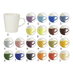 }OJbv@@J[ZNV}O@21F炨Iт@ʂȃJ[oG[V@{@J[}O@Vv}OJbv@v[gELOiEiiEmxeB