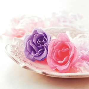 t[\[v@[Y vP[X@120Zbg̔@D肪悤΂@Yȃy[p[\[v@ii@2F捬@v`Mtg@̓@v[g@̑iEi