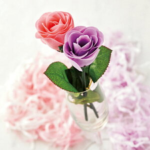 t[\[v@[Y փvP[X@60Zbg̔@ D肪悤@KN̐΂@Yȃy[p[\[v@ii@2F捬@v`Mtg@̓@v[g