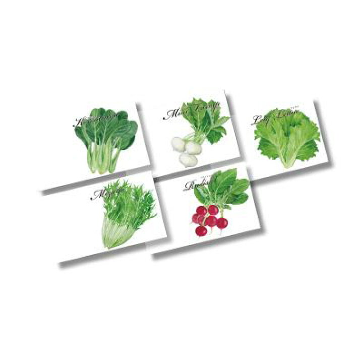 楽天市場 野菜の種 横型イラスト野菜の種子 500個セット販売 話題のタネをまき 笑顔の花を咲かせる 5種類アソート取混ぜ 販促品 景品 ノベルティ 粗品 ゴールドスター