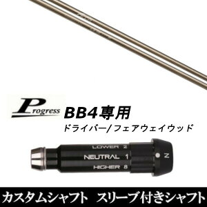 JX^Nu X[utVtg A[`St CA-01 Progress BB4 hCo[ FWp