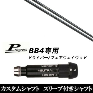 JX^Nu X[utVtg A[`St KaMsc16509 Progress BB4 hCo[ FWp