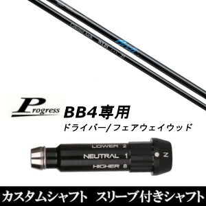 JX^Nu X[utVtg A[`St WL01 FW Vtg Progress BB4 DR tFAEFCEbhp