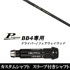 JX^Nu X[utVtg CRAZY WFlVX FW-80c Progress BB4 DR tFAEFCEbhp